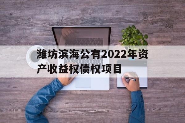 关于潍坊滨海公有2022年资产收益权债权项目的信息