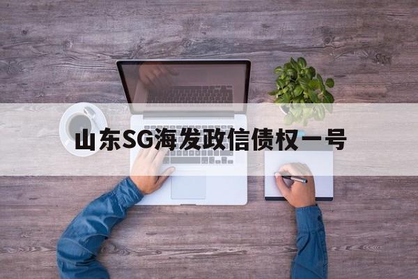 包含山东SG海发政信债权一号的词条