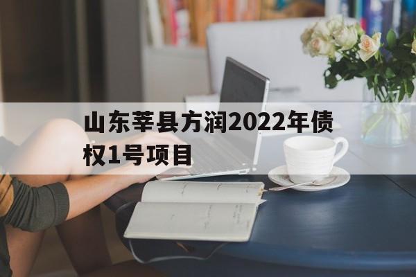 包含山东莘县方润2022年债权1号项目的词条