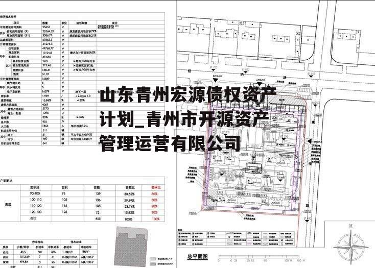 山东青州宏源债权资产计划_青州市开源资产管理运营有限公司