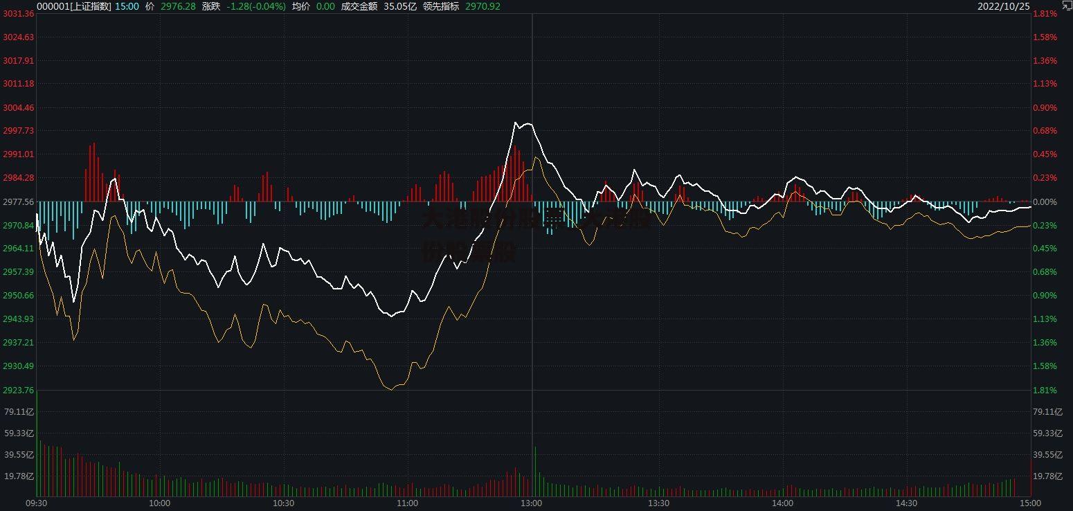 大港股份股票_大港股份股票股