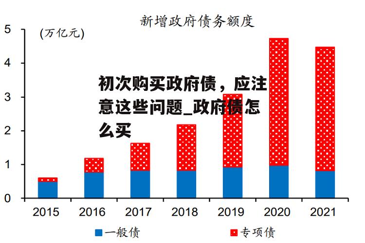 初次购买政府债，应注意这些问题_政府债怎么买