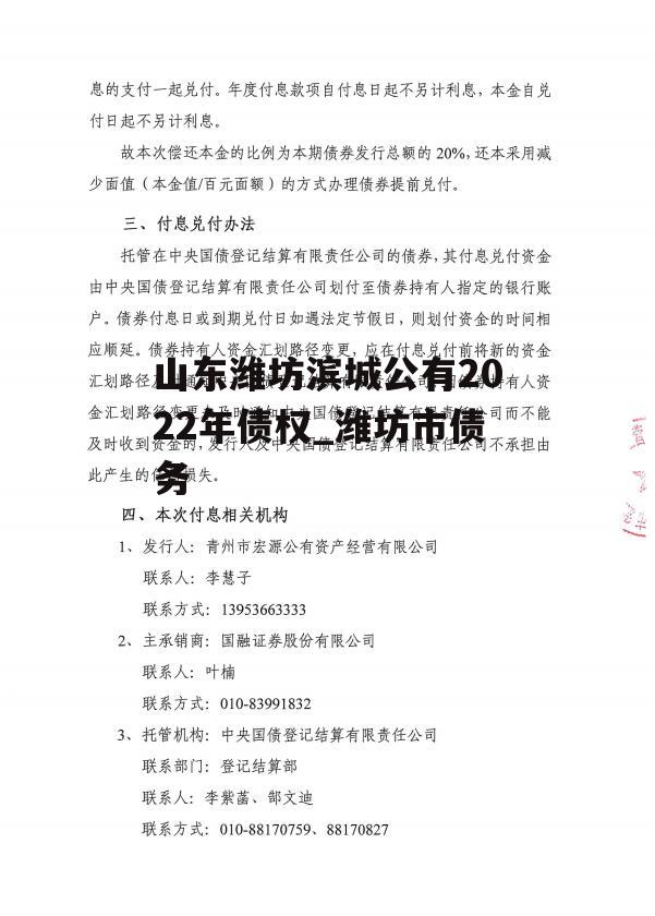 山东潍坊滨城公有2022年债权_潍坊市债务