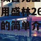 山东聊城昌元土地储备开发利用盛林26号3期债权的简单介绍