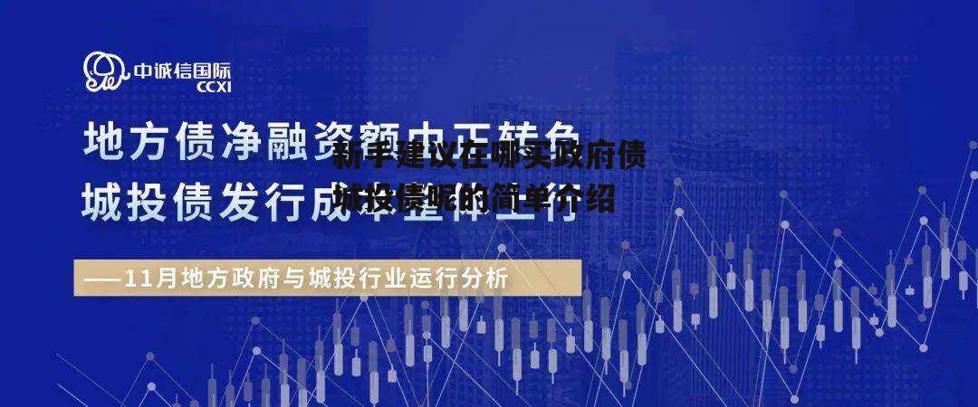 新手建议在哪买政府债城投债呢的简单介绍