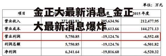 金正大最新消息_金正大最新消息爆炸