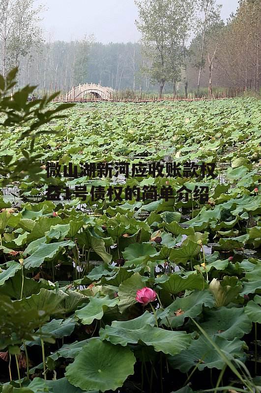 微山湖新河应收账款权益1号债权的简单介绍