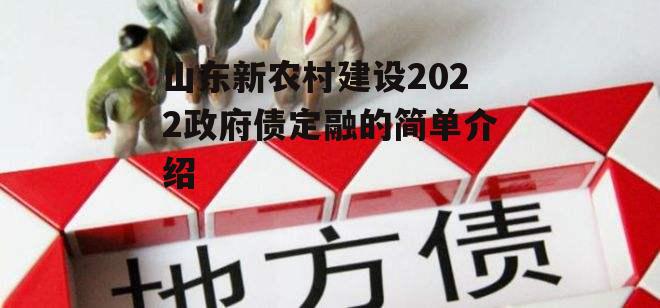 山东新农村建设2022政府债定融的简单介绍