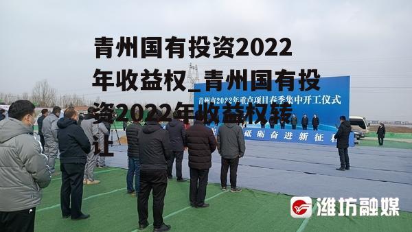 青州国有投资2022年收益权_青州国有投资2022年收益权转让