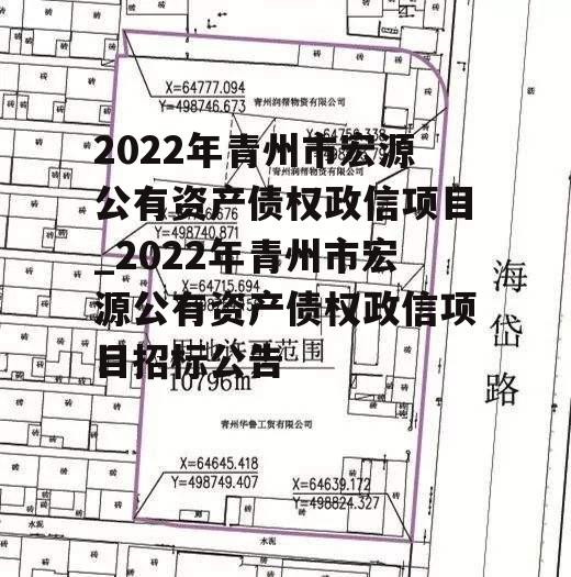 2022年青州市宏源公有资产债权政信项目_2022年青州市宏源公有资产债权政信项目招标公告