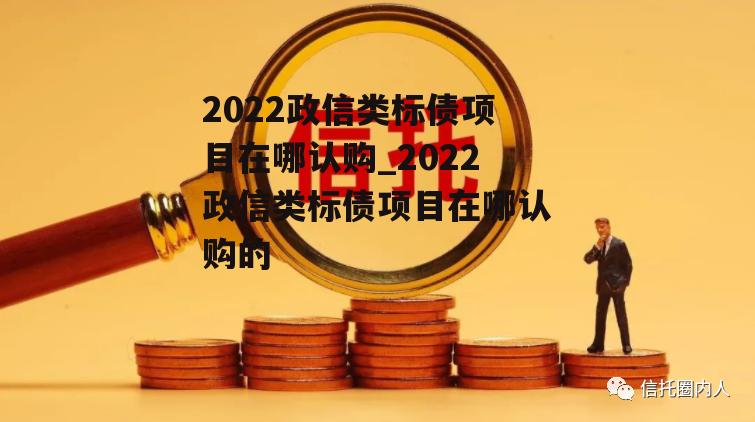 2022政信类标债项目在哪认购_2022政信类标债项目在哪认购的