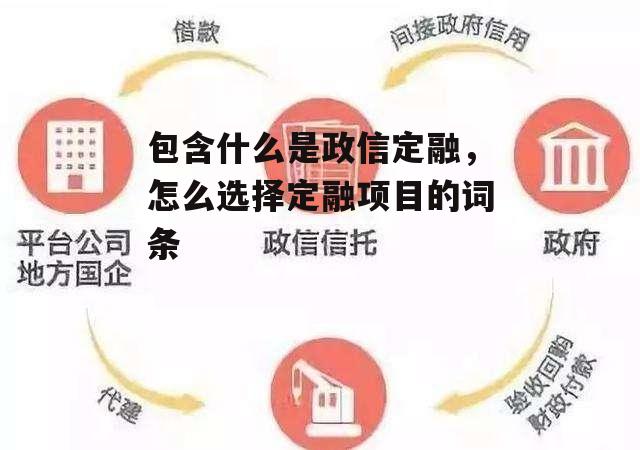 包含什么是政信定融，怎么选择定融项目的词条