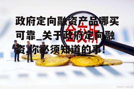 政府定向融资产品哪买可靠_关于政府定向融资,你必须知道的事!