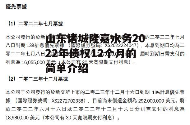 山东诸城隆嘉水务2022年债权12个月的简单介绍