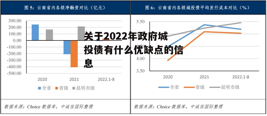 关于2022年政府城投债有什么优缺点的信息