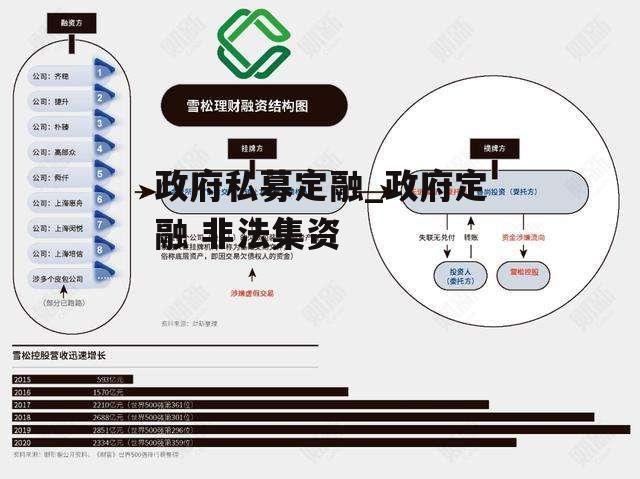 政府私募定融_政府定融 非法集资