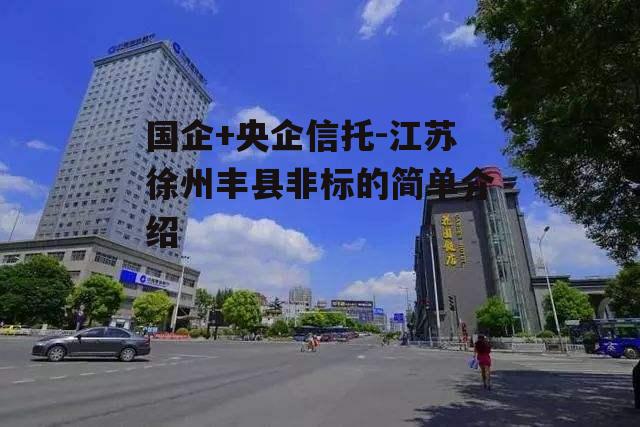 国企+央企信托-江苏徐州丰县非标的简单介绍