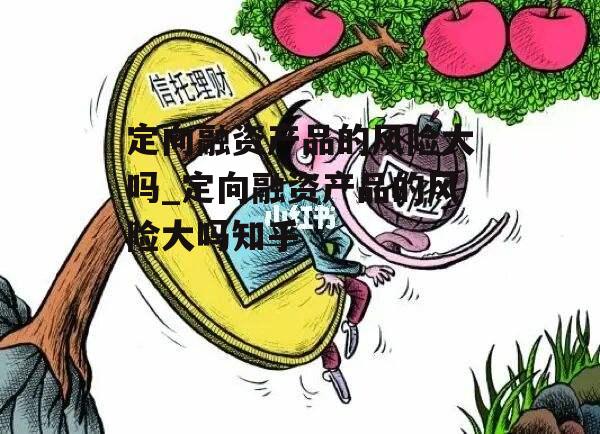 定向融资产品的风险大吗_定向融资产品的风险大吗知乎