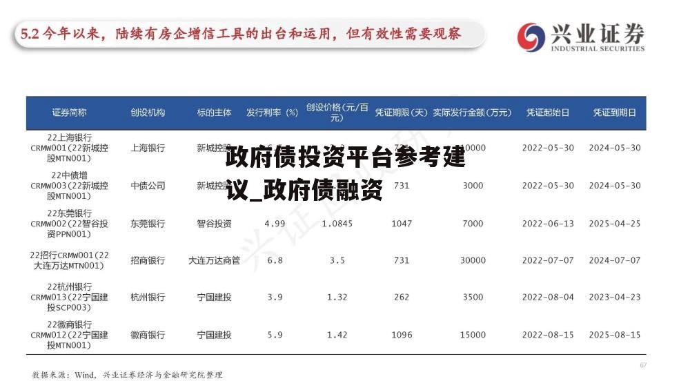 政府债投资平台参考建议_政府债融资