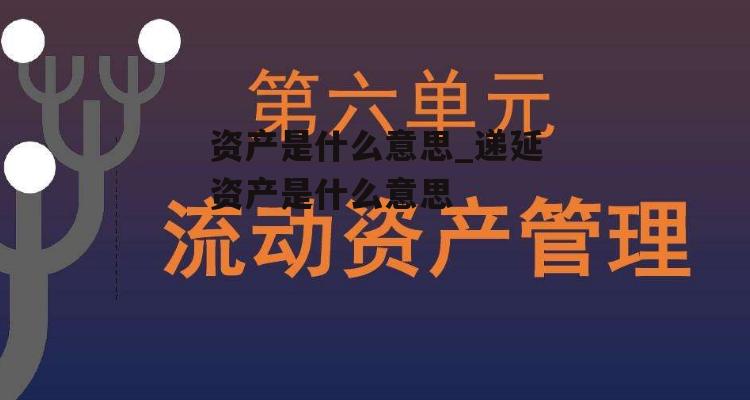 资产是什么意思_递延资产是什么意思