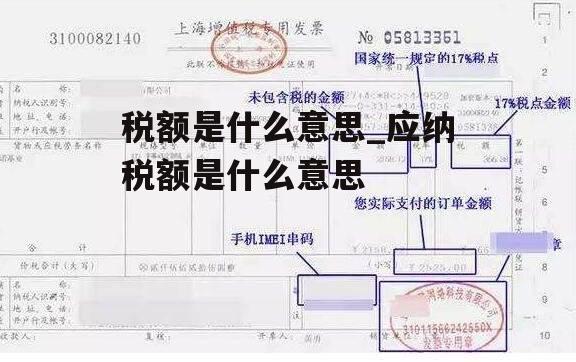 税额是什么意思_应纳税额是什么意思