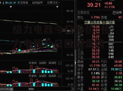 格力电器今日股价_格力电器今日股价走势