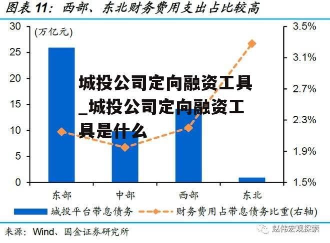 城投公司定向融资工具_城投公司定向融资工具是什么