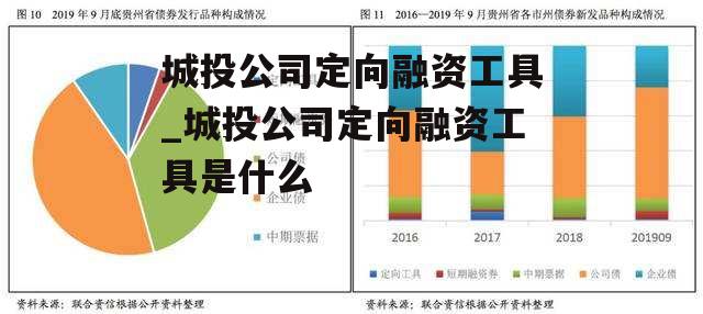 城投公司定向融资工具_城投公司定向融资工具是什么