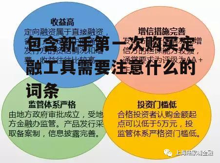 包含新手第一次购买定融工具需要注意什么的词条