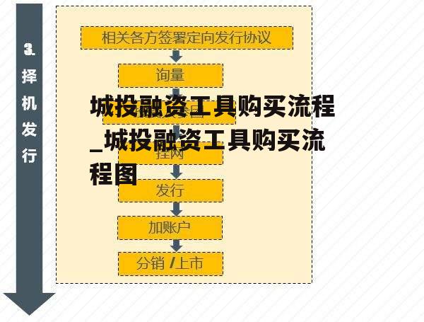 城投融资工具购买流程_城投融资工具购买流程图