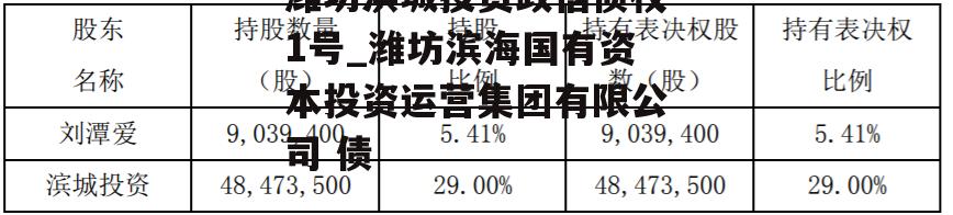 潍坊滨城投资政信债权1号_潍坊滨海国有资本投资运营集团有限公司 债