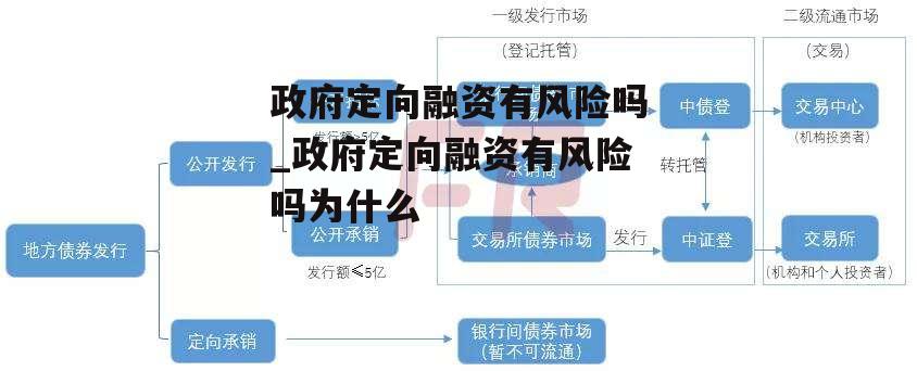 政府定向融资有风险吗_政府定向融资有风险吗为什么