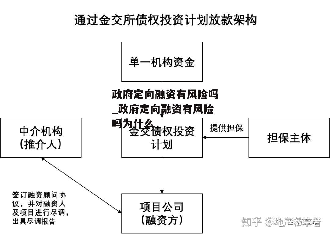 政府定向融资有风险吗_政府定向融资有风险吗为什么