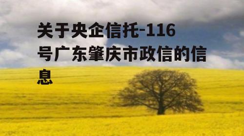 关于央企信托-116号广东肇庆市政信的信息