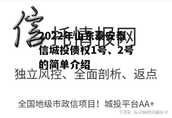 2022年山东泰安泰信城投债权1号、2号的简单介绍