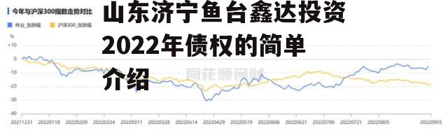 山东济宁鱼台鑫达投资2022年债权的简单介绍