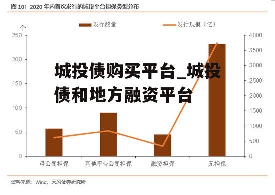 城投债购买平台_城投债和地方融资平台