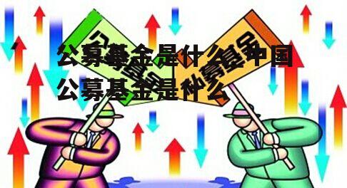 公募基金是什么_中国公募基金是什么