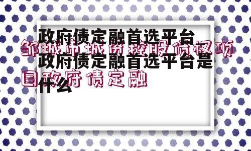 政府债定融首选平台_政府债定融首选平台是什么