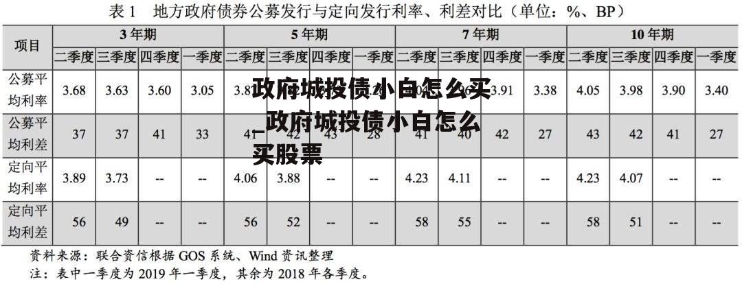 政府城投债小白怎么买_政府城投债小白怎么买股票