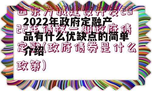 2022年政府定融产品有什么优缺点的简单介绍