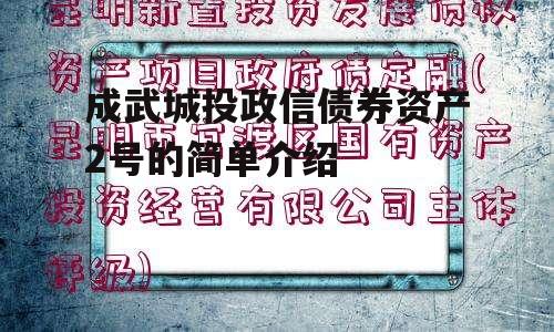 成武城投政信债券资产2号的简单介绍