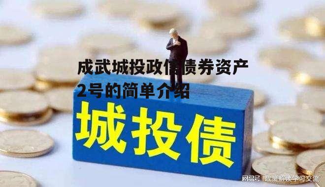 成武城投政信债券资产2号的简单介绍