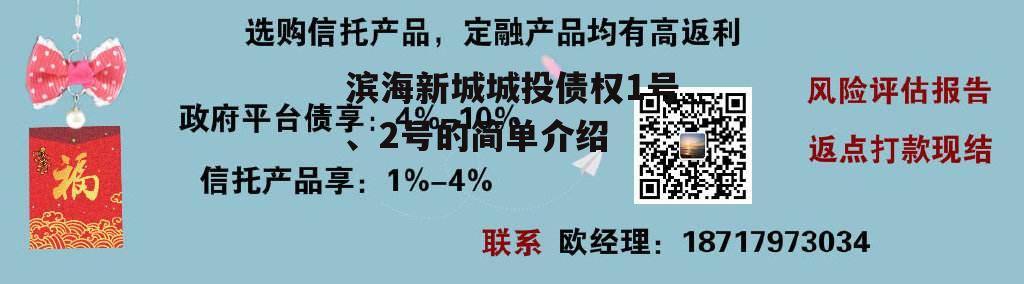 滨海新城城投债权1号、2号的简单介绍