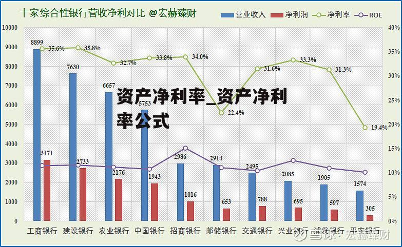 资产净利率_资产净利率公式