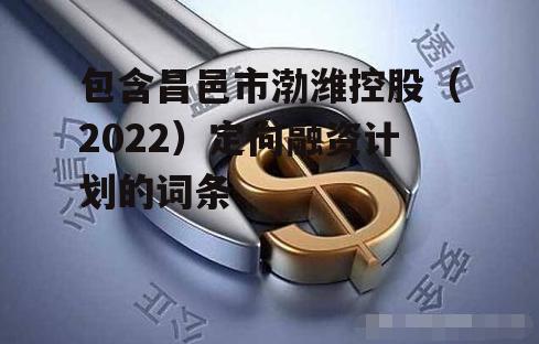 包含昌邑市渤潍控股（2022）定向融资计划的词条