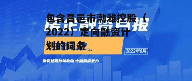 包含昌邑市渤潍控股（2022）定向融资计划的词条