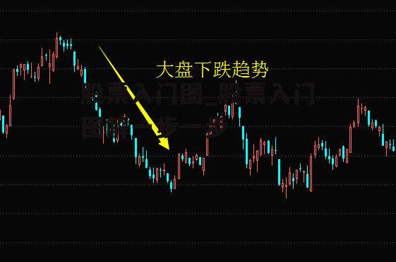 股票入门图_股票入门图解一步一步