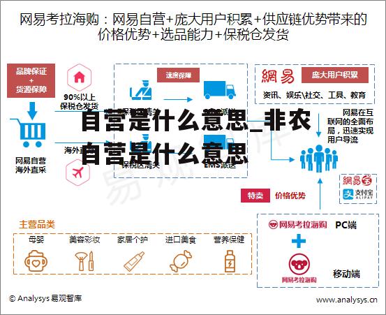 自营是什么意思_非农自营是什么意思