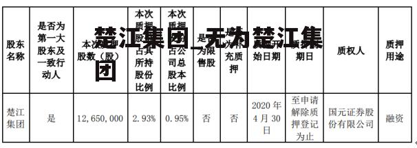 楚江集团_无为楚江集团